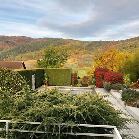 Logement De Charme Au Coeur De La Nature Osenbach Kültér fotó