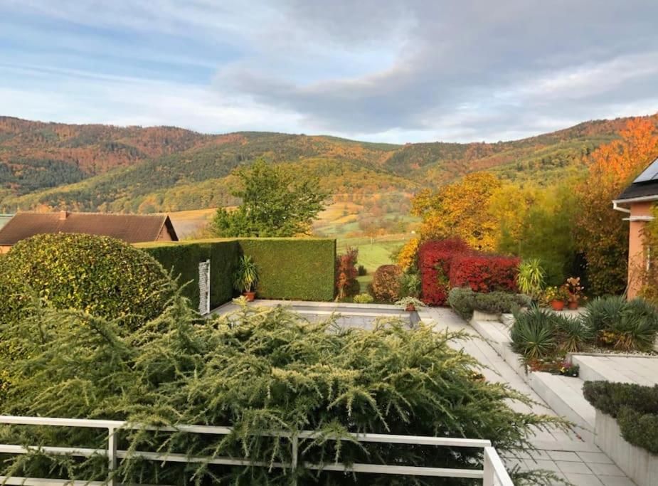 Logement De Charme Au Coeur De La Nature Osenbach Kültér fotó