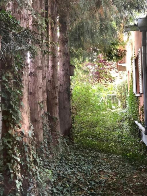 Logement De Charme Au Coeur De La Nature Osenbach Kültér fotó