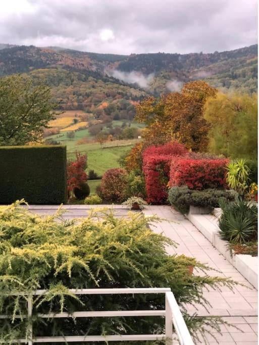Logement De Charme Au Coeur De La Nature Osenbach Kültér fotó