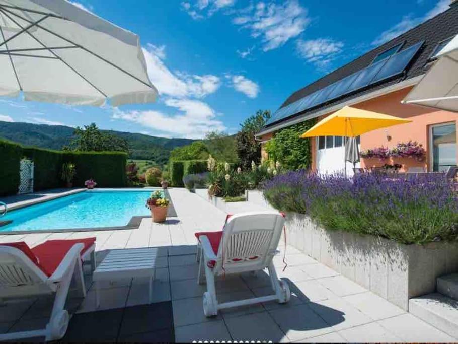 Logement De Charme Au Coeur De La Nature Osenbach Kültér fotó